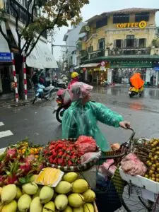 How Vietnam Actually Works