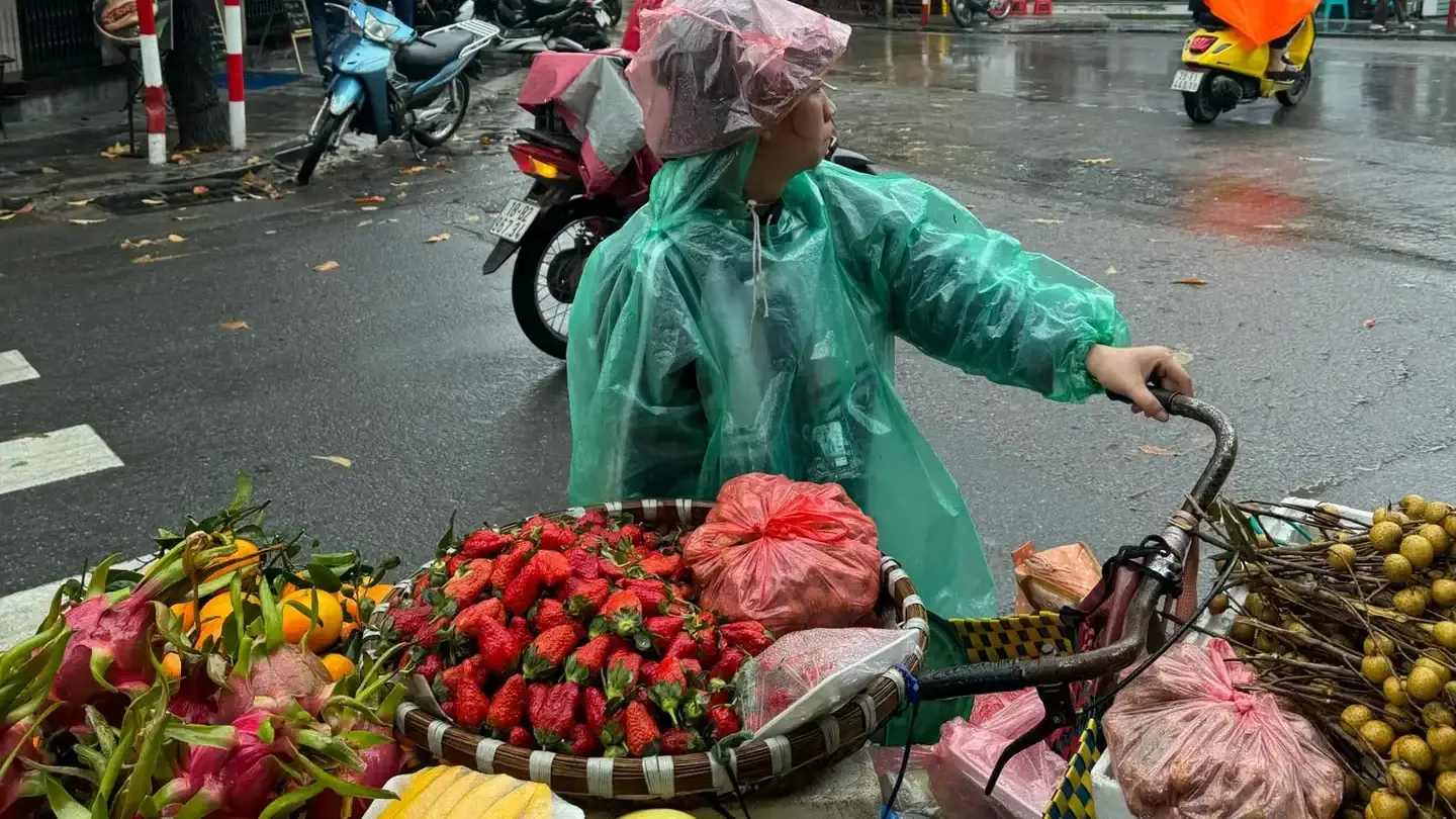How Vietnam Actually Works