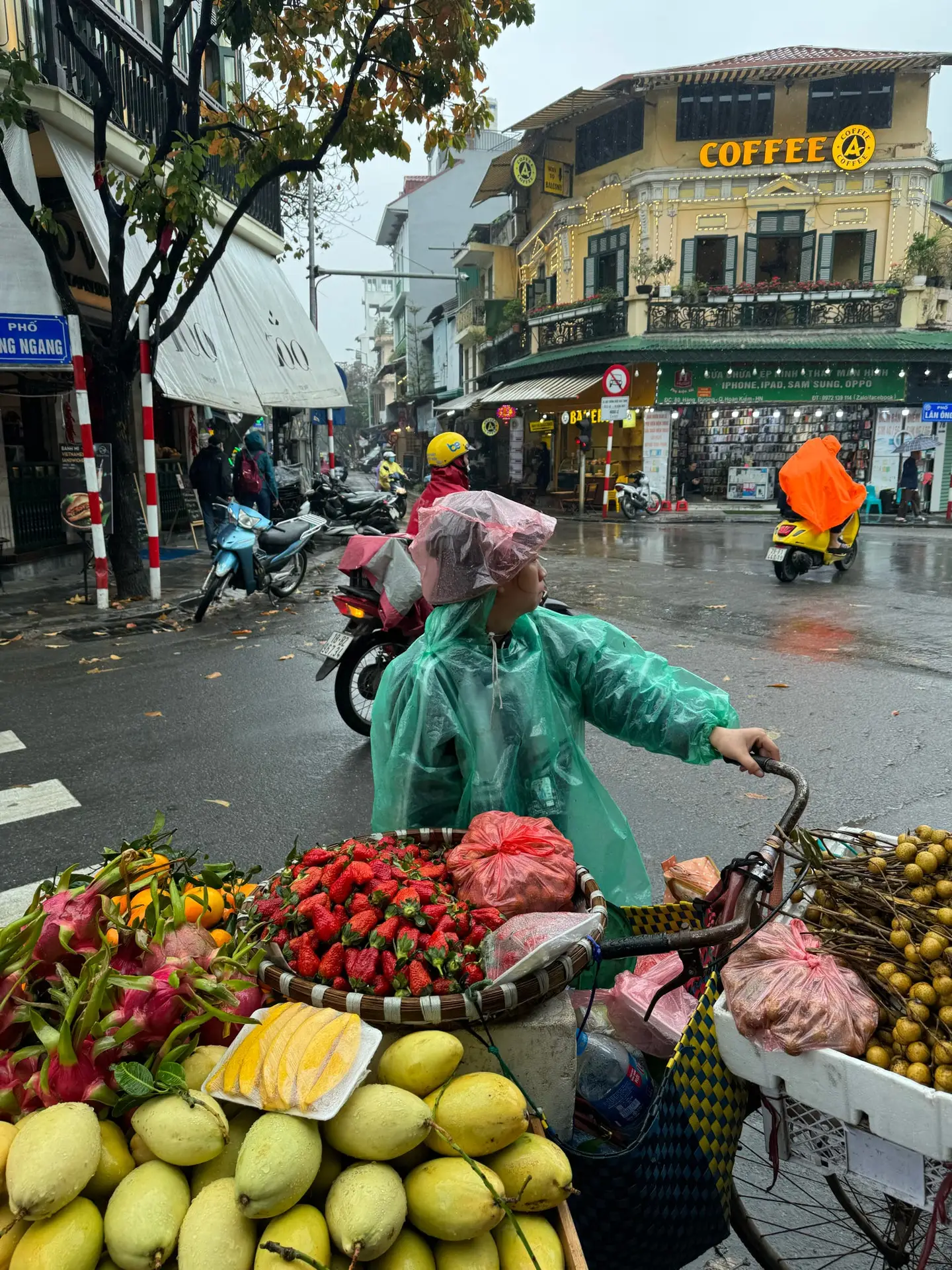 How Vietnam Actually Works