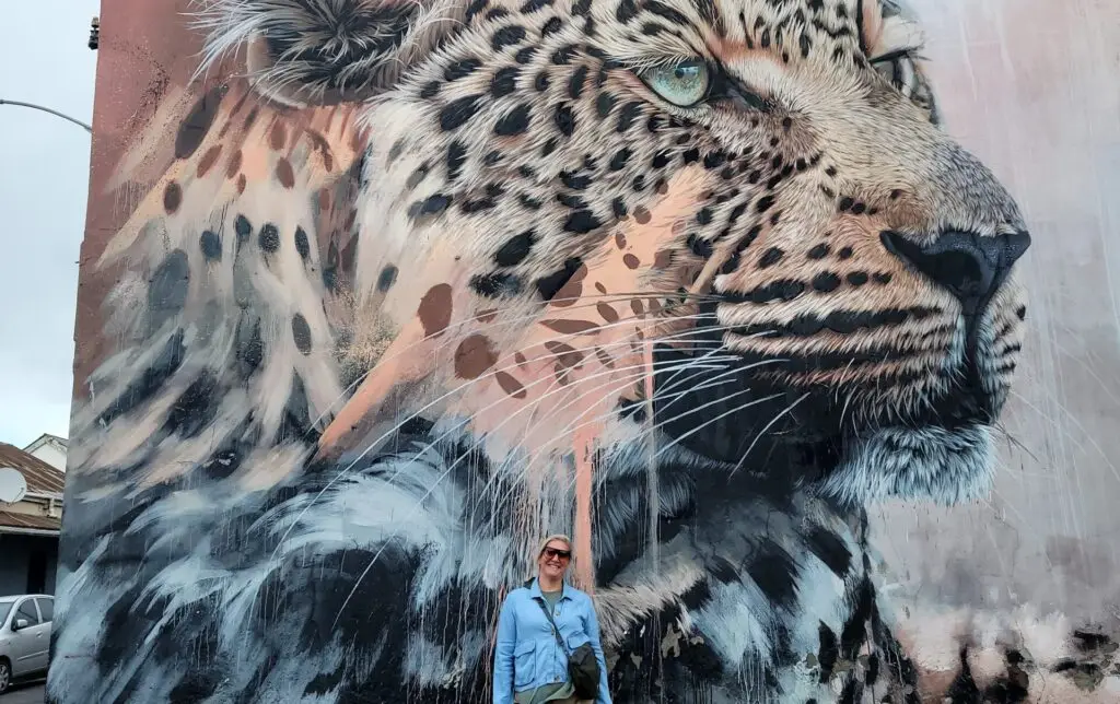 south africa travel guide woodstock street art