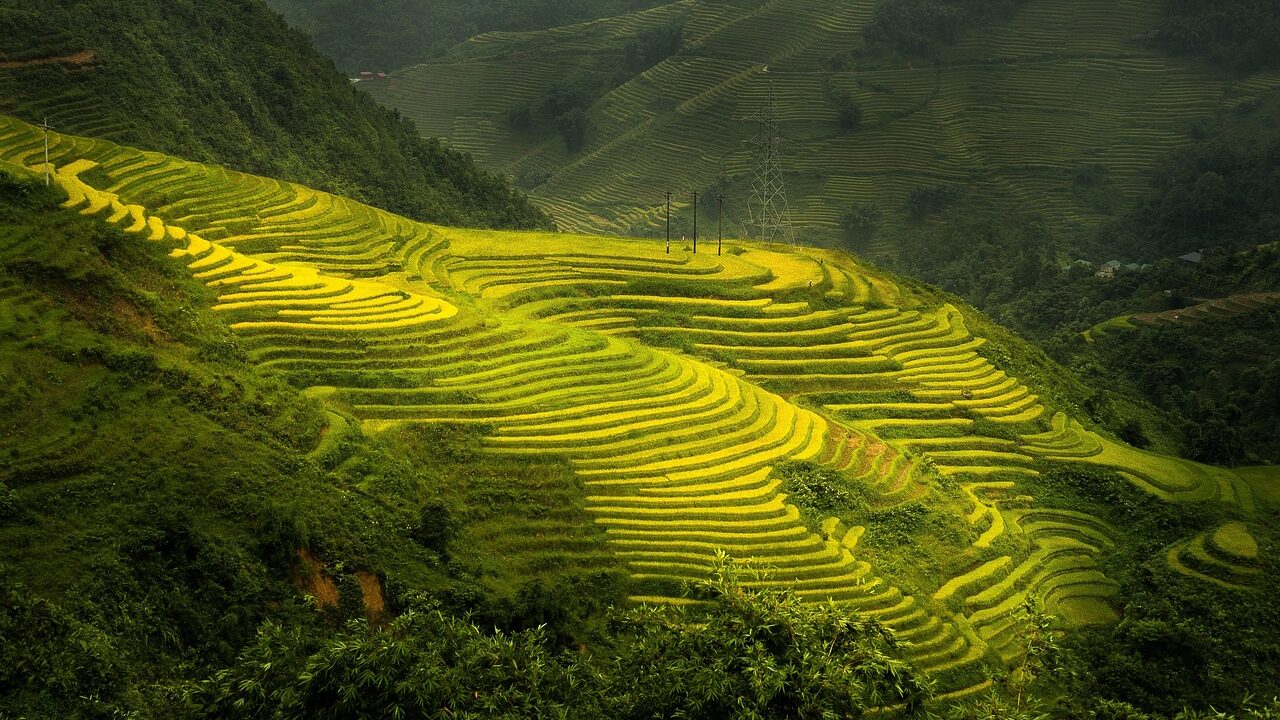 nature, terraces, outdoors, travel, exploration, sapa, rice field, mountain, sapa, sapa, sapa, sapa, sapa, rice field, rice field, rice field