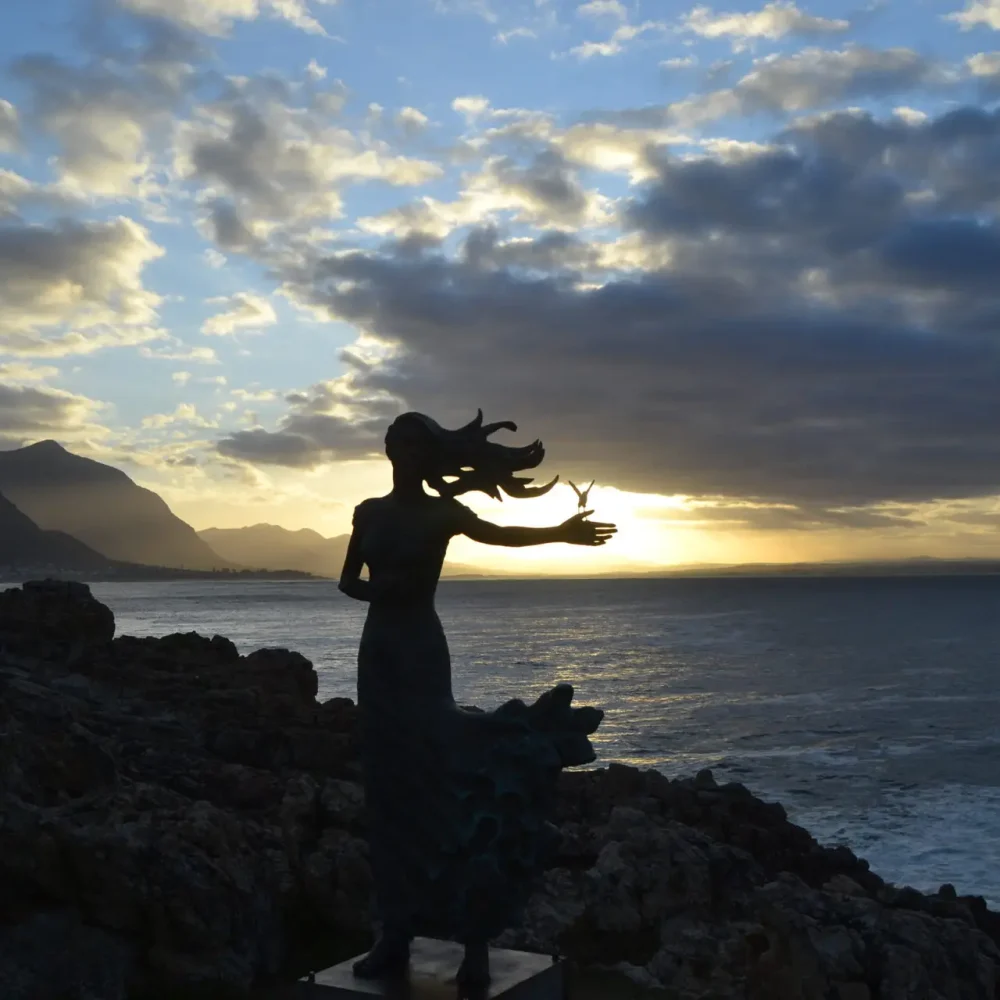 Hemanus western cape south africa