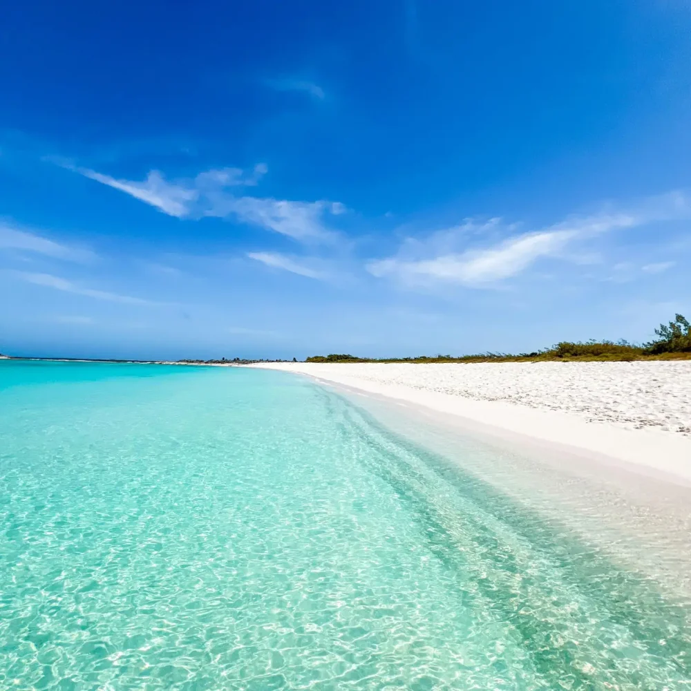 Pristine beach with turquoise waters under a clear blue sky in the Caribbean, Venezuela.